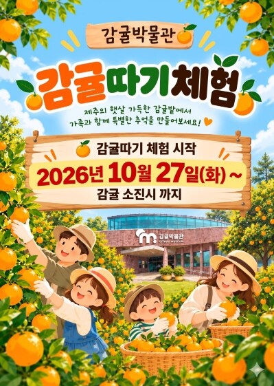 서귀포시 감귤박물관 2026년 감귤따...