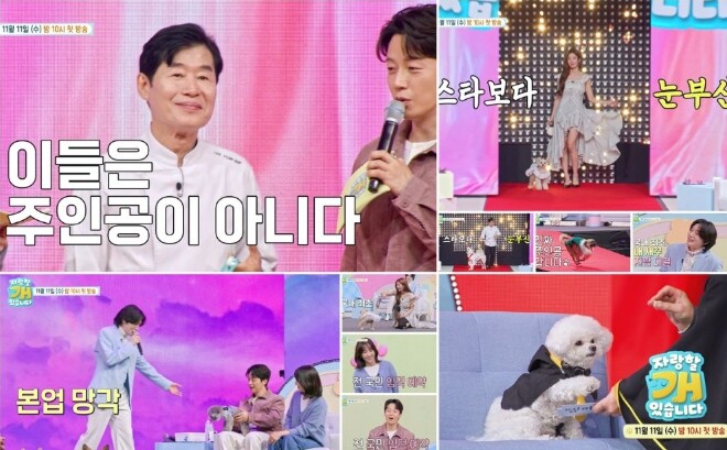 TV CHOSUN [자랑할 개] 이연...