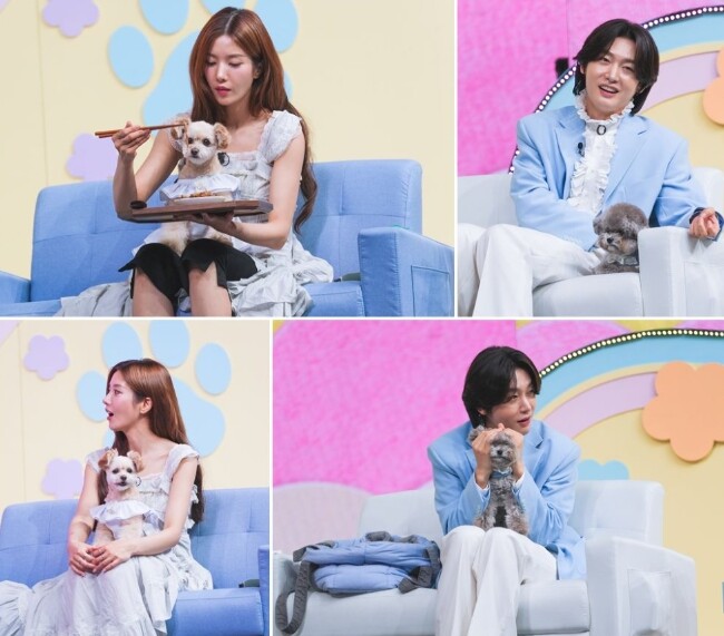 TV CHOSUN [자랑할 개] 권은...