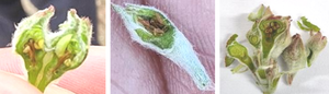 thumbimg