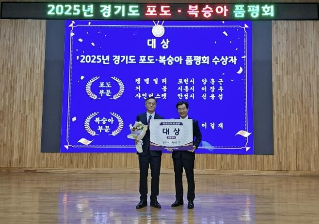 포천시, 2025년 