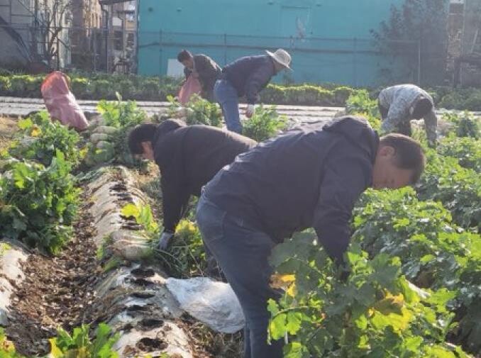 파주시 법원읍 대능5리 김인호 이장,...