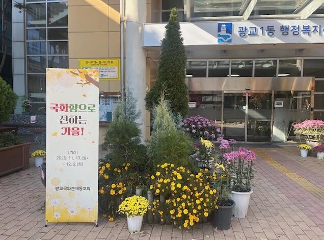 국화향으로 전하는 가을, 수원시 영통...