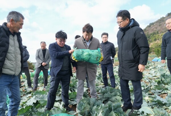 제주도, 한경면 월동채소 현장 점검…...