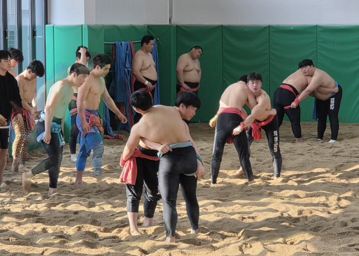 의성군, 국내 씨름단 동계 전지훈련 ...