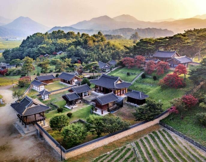 "관광도 이제는 전문 경영 ...