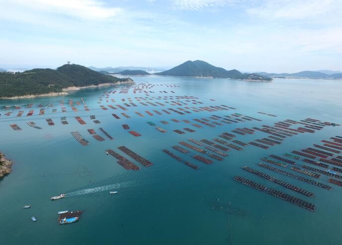 완도군, 해조류·전복 산업 기후 위기...