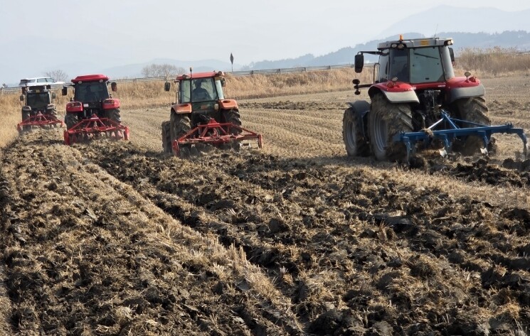 영광군, 왕우렁이 월동 방지 위한 선...