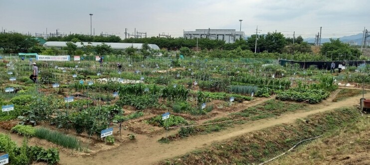 수성구, 2026년 공영도시농업농장 ...