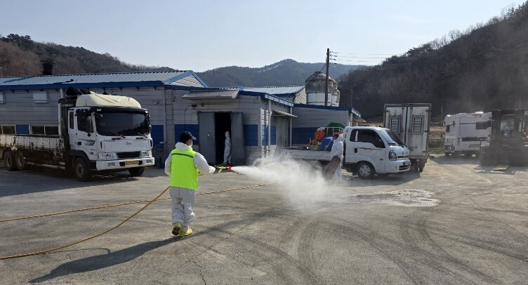 아산시, 도고면 메추리 농장 AI 항...