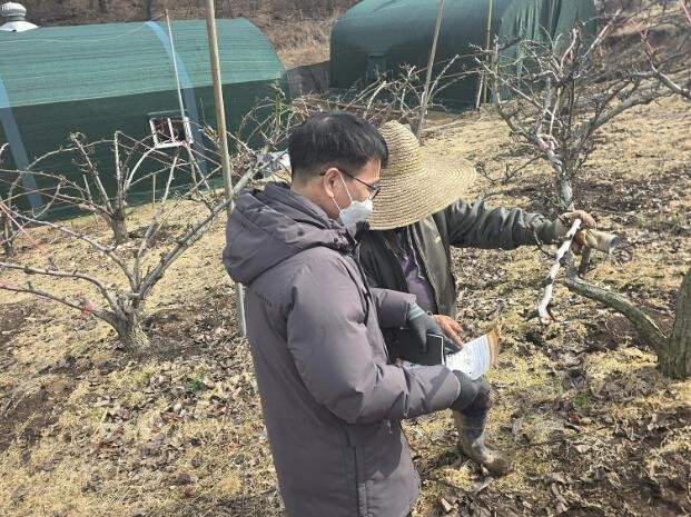 "과수화상병, 적기에 방제하...