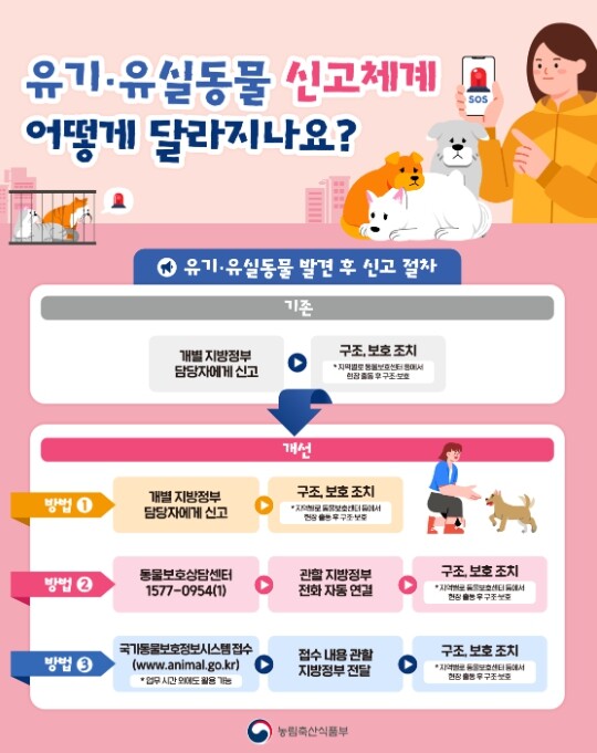 농식품부, 유실·유기 동물 발견 시 ...