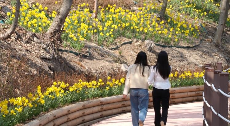 진도군, 산림욕장 내 생태탐방로에 ‘...