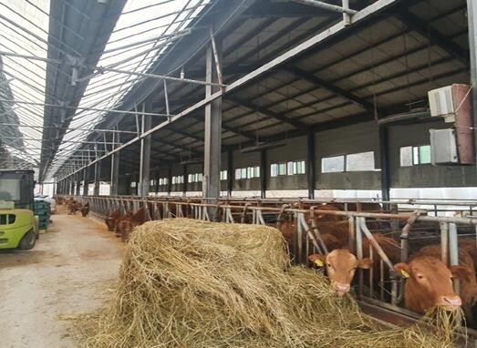 김해시 “축산농가 경영난 던다” 20...