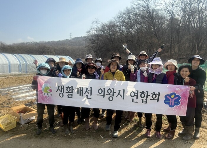 생활개선의왕시연합회, 감자 나눔위한 ...