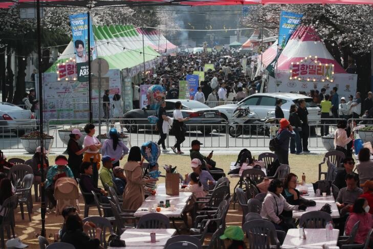 창원시 주말 진해군항제, 벚꽃 만개 ...