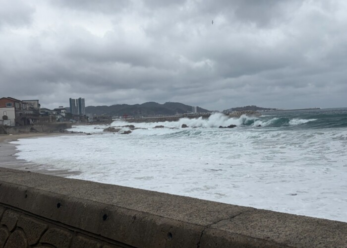 울진해경, 위험예보제