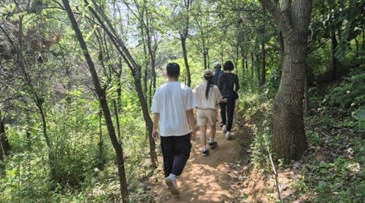 숲이 주는 쉼과 회복…인천시, 오는 ...