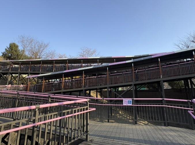 부천시, 원미산 진달래동산