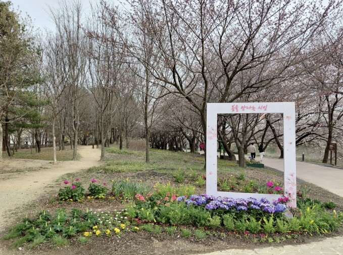 수원시 권선구 황구지천 산책로, 다채...