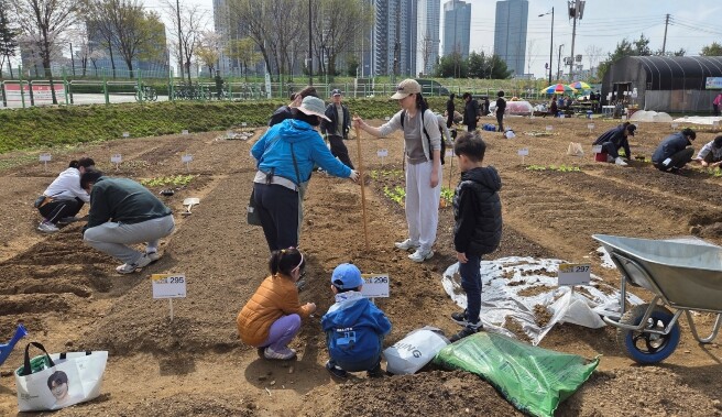 성동구, 무지개텃밭·다산농원 개장.....