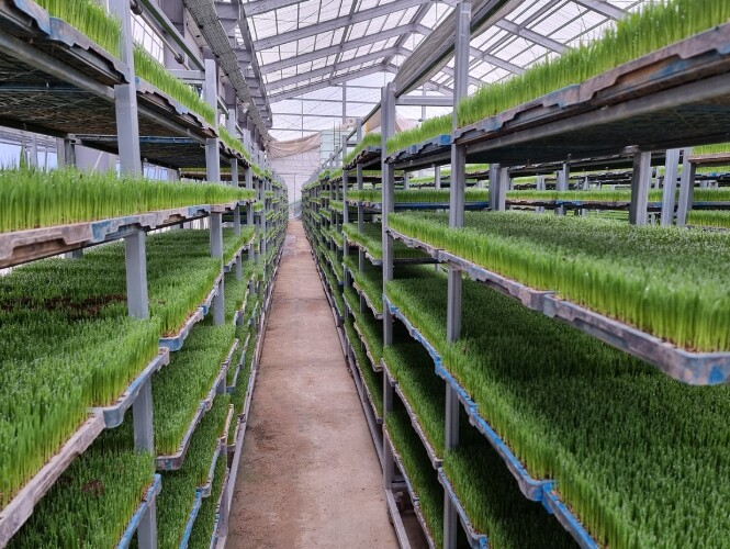 여수시, 벼농사 시작은 ‘안전 육묘’...