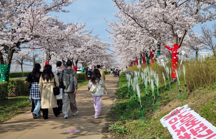 강릉 봄 관광 이끈 ‘2026 경포 ...