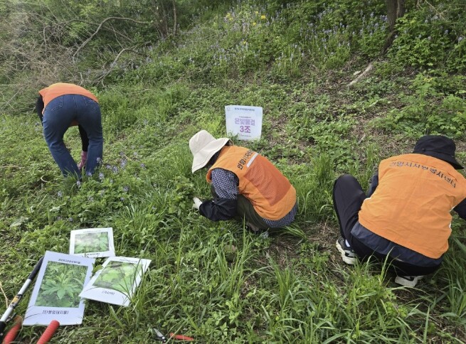 안양시자원봉사센터, 