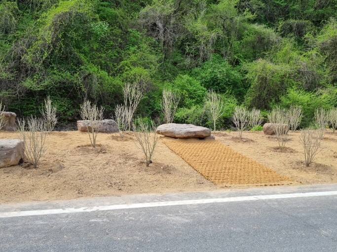 안동시 예안면, 