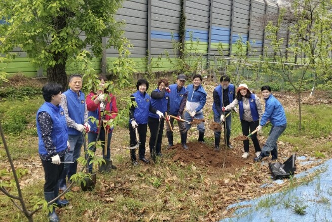 수원시 장안구 율천동, 제2의 밤나무...