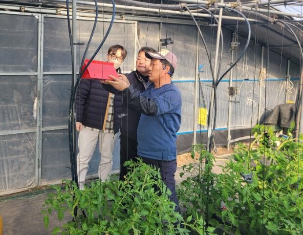 경주시, 과수화상병‧토마토뿔나방 선제...