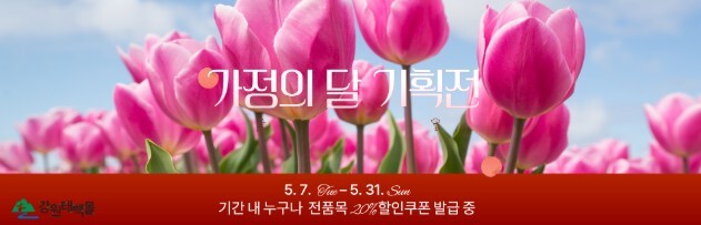 강원태백몰, 
