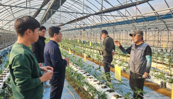 강화군, 토마토 농가 맞춤형 안전교육...