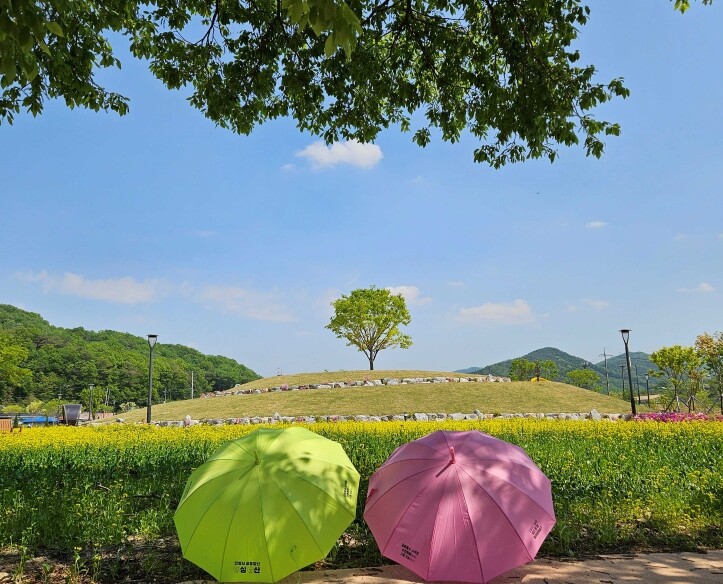안성시, 지난해 12만명 홀린 