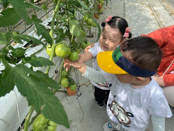 옥천군, 공공급식 품목 체험행사 운영...