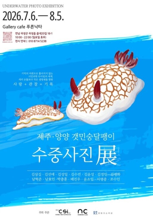 시민들이 기록한 제주·양양 바다의 작...