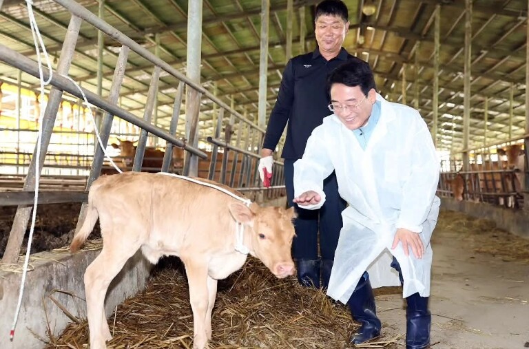 강진군, 으뜸한우 경진대회 출품축 선...