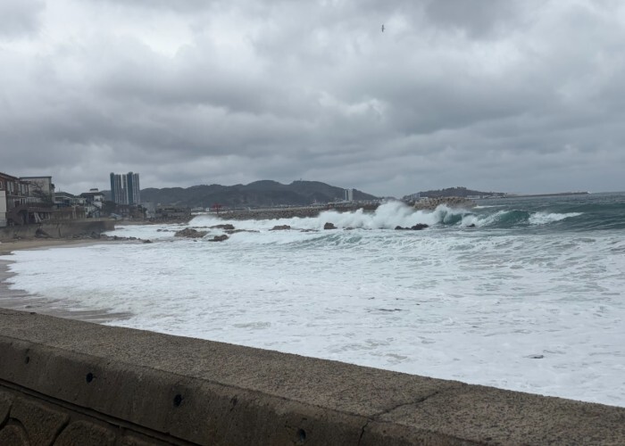 울진해경, 위험예보제
