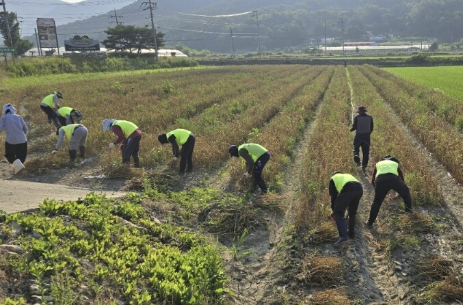 보은군, 외국인 계절근로자 농촌 일손...