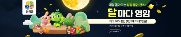 영암몰, 월간 기획전