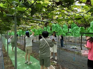 thumbimg