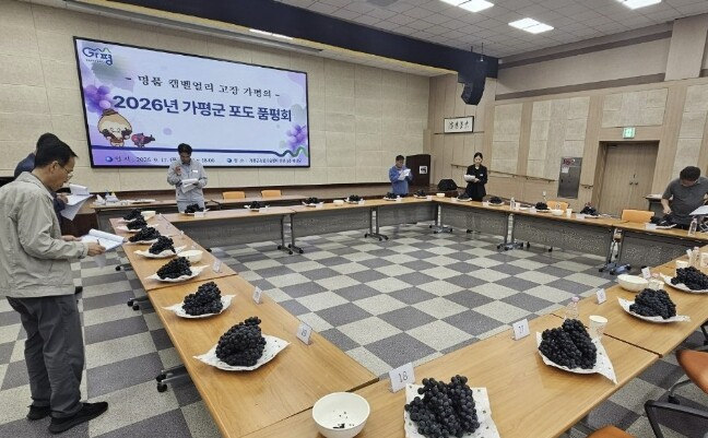 가평군, 2026년 포도왕에 장승순 ...