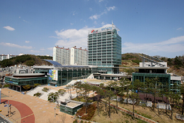 포항시, 추석맞이 특별교통대책 추진 ...