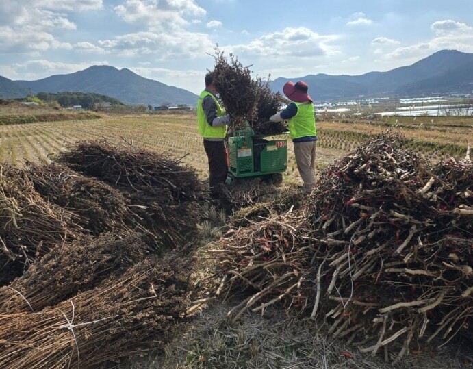 영농부산물 소각 대신 ‘파쇄’… 고성...